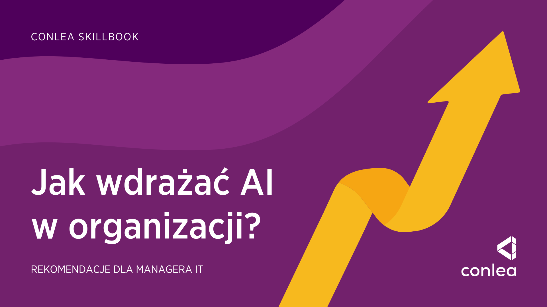 Raport 2025 – jak wdrażać AI w organizacji (2)